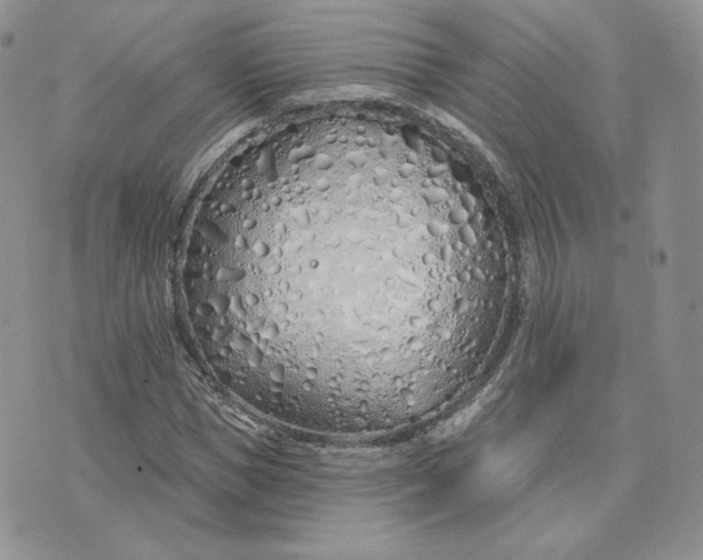 X0000075400921200609291637