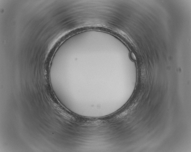 X0000075400926200609291637