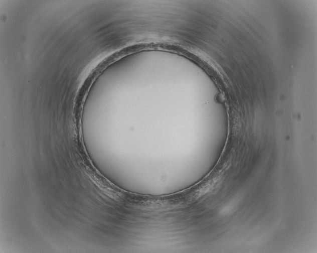 X0000075400927200609291637