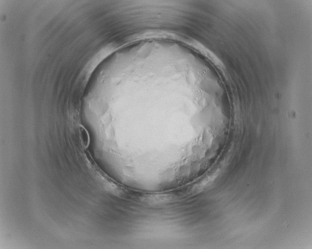 X0000075400953200609291638
