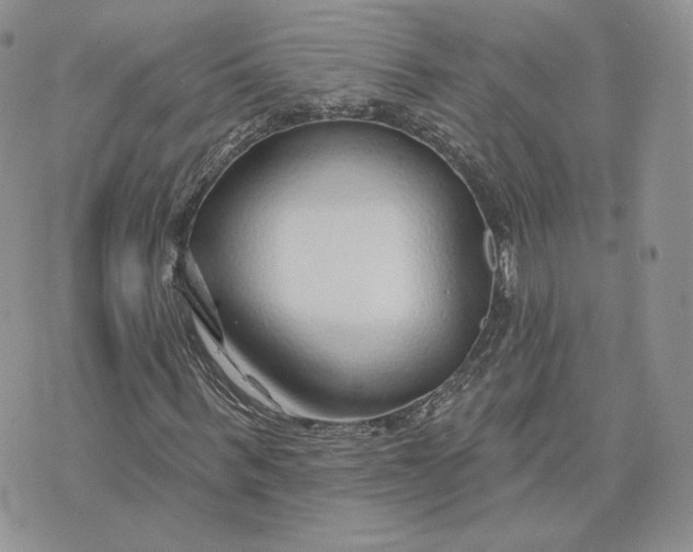 X0000075400963200609291637