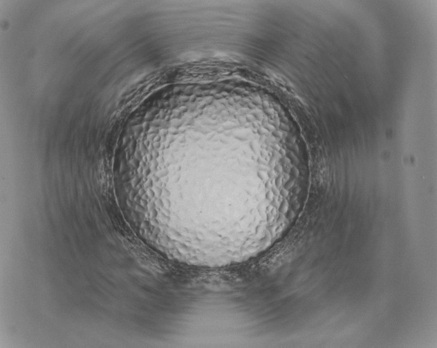 X0000075400966200609291637