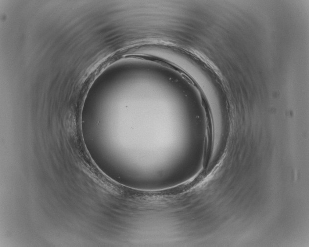 X0000075400969200609291637