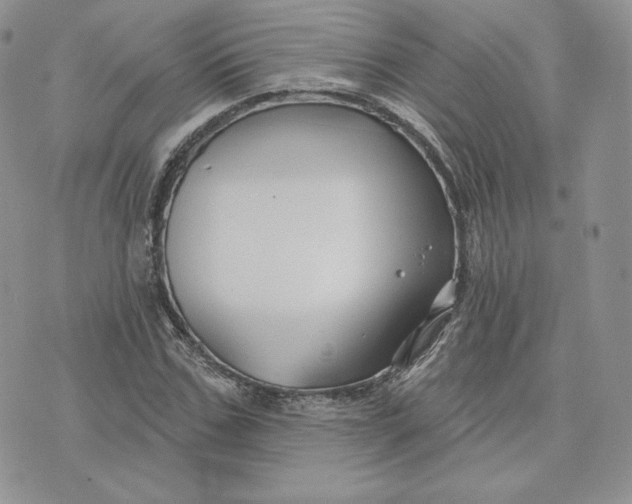 X0000075400971200609291637