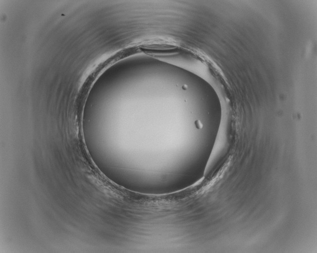 X0000075400973200609291637