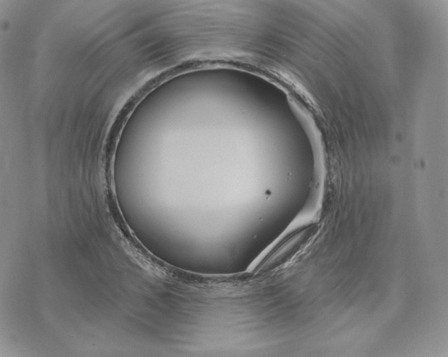 X0000075400976200609291637