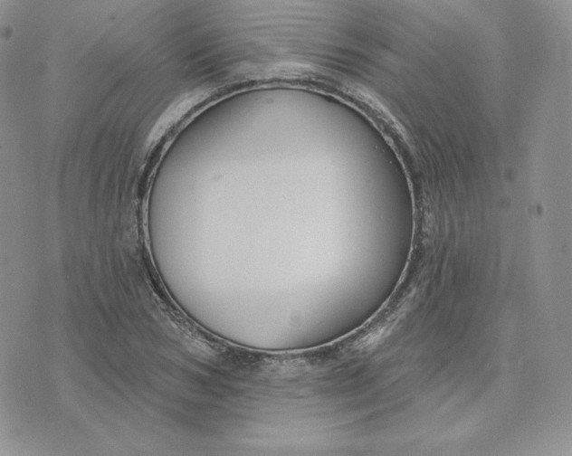 X0000075400978200609291637