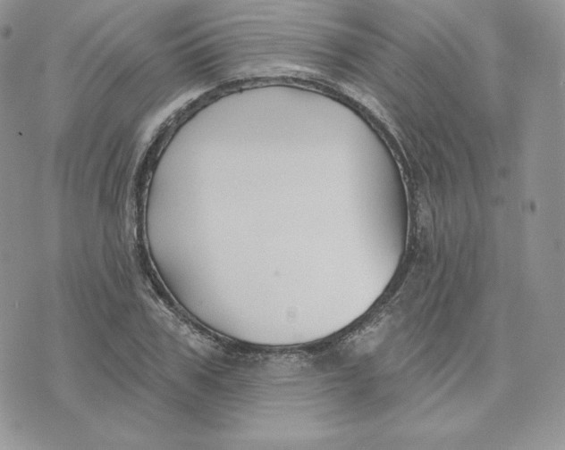 X0000075400979200609291637