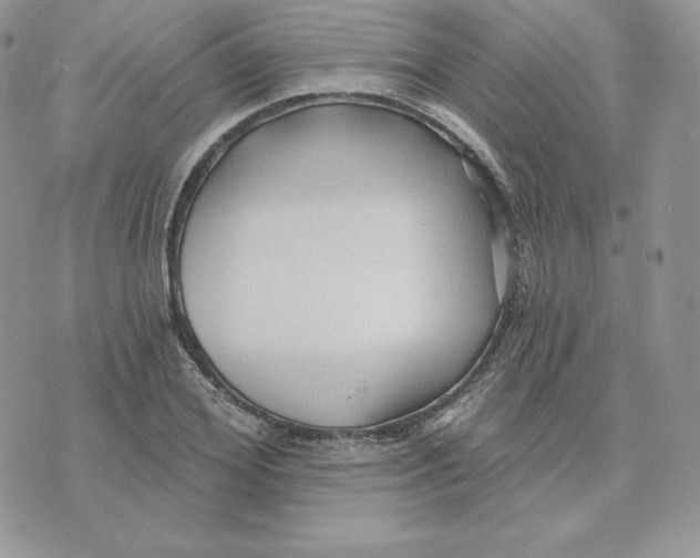 X0000075400980200609291637