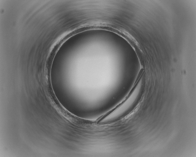 X0000075400981200609291637