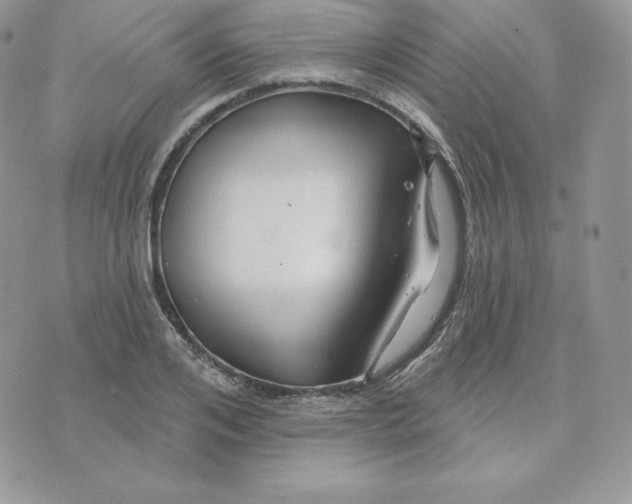 X0000075400984200609291637