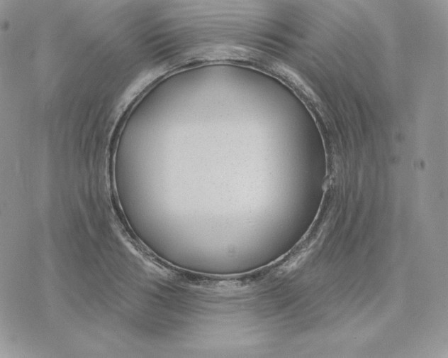 X0000075400986200609291637