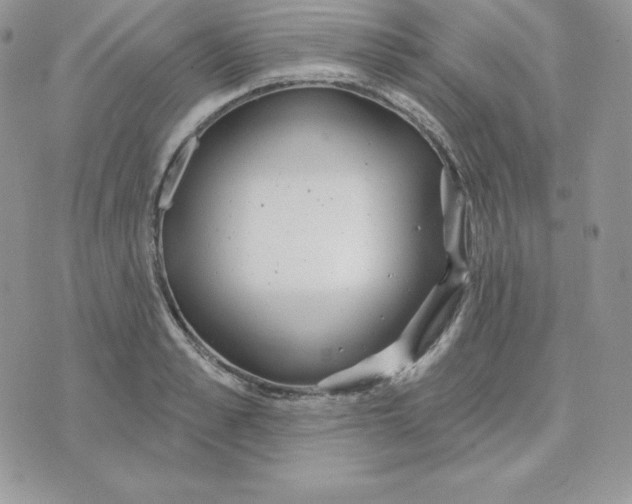 X0000075400989200609291637