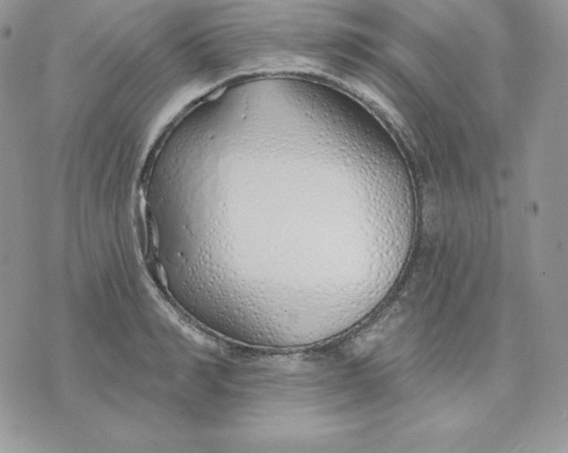 X0000075400990200609291637