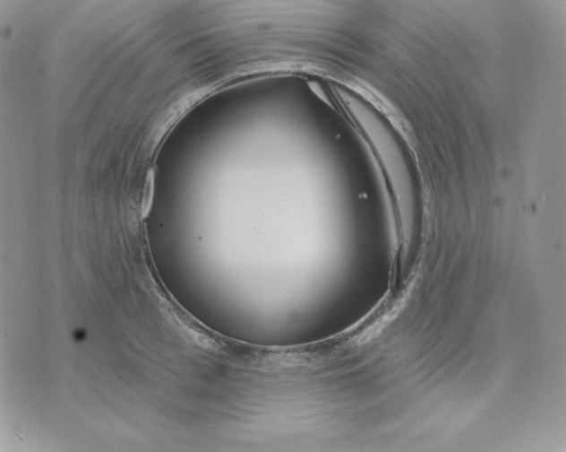 X0000075400993200609291637