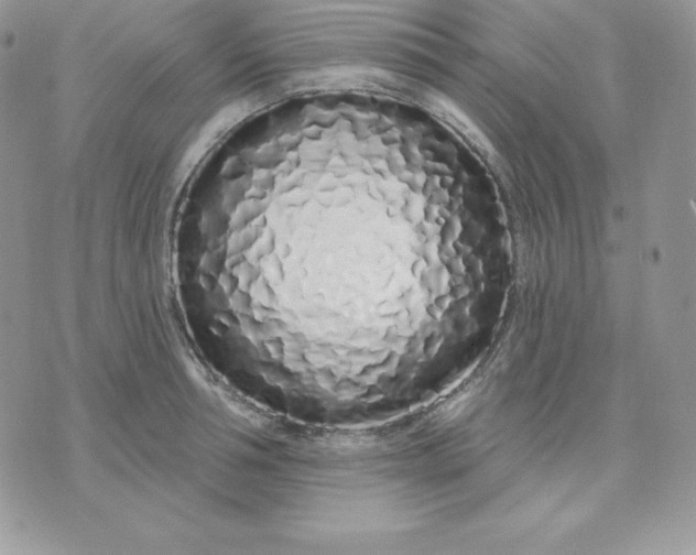 X0000075400994200609291637