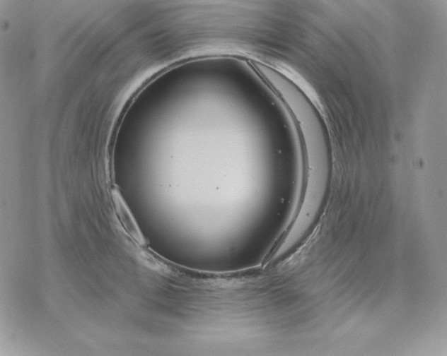 X0000075400996200609291637