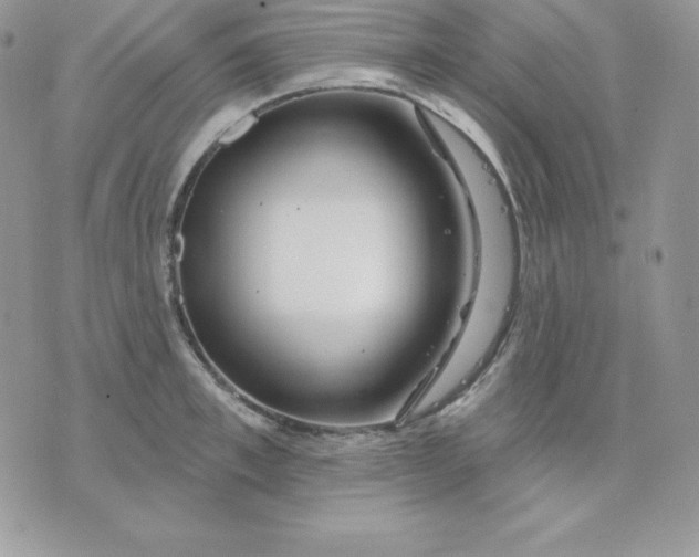 X0000075400997200609291637