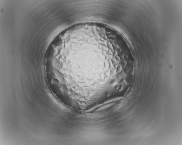 X0000075400998200609291637
