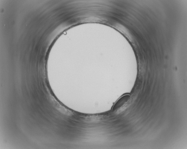 X0000075401000200609291636