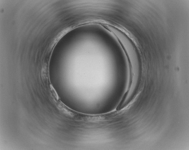 X0000075401001200609291636