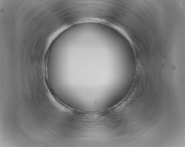 X0000075401003200609291636