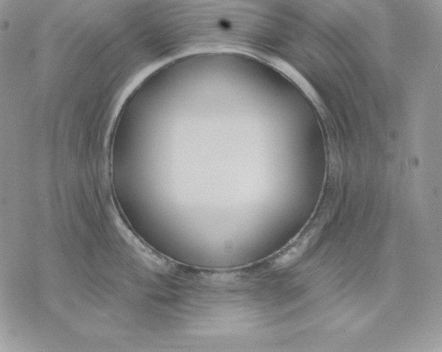 X0000075401004200609291636