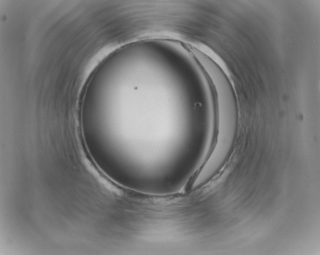 X0000075401005200609291636