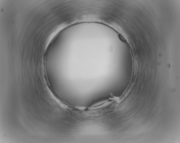 X0000075401006200609291636