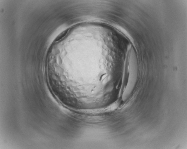 X0000075401007200609291636