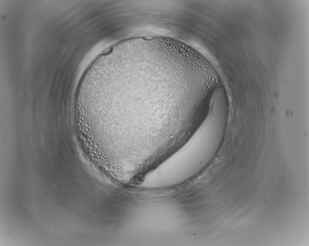 X0000075401008200609291636