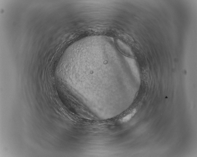 X0000075401009200609291636