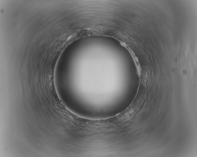 X0000075401010200609291636