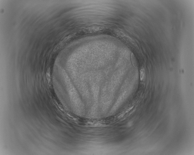 X0000075401011200609291636