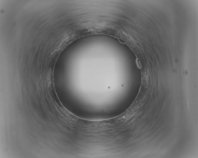 X0000075401012200609291636