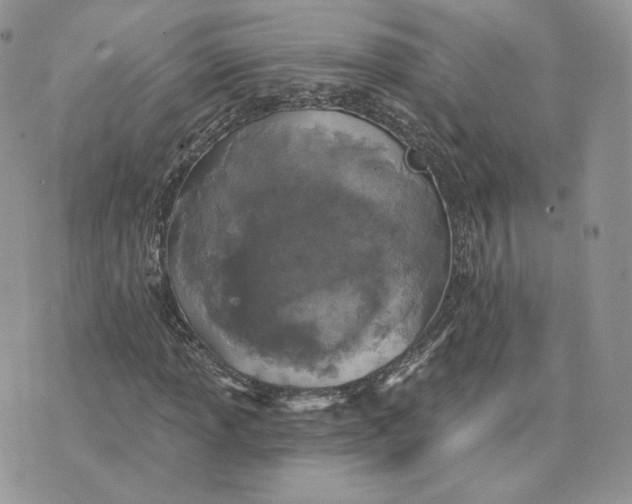 X0000075401013200609291636