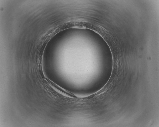 X0000075401014200609291636