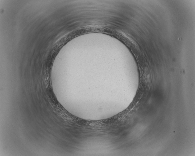 X0000075401015200609291636