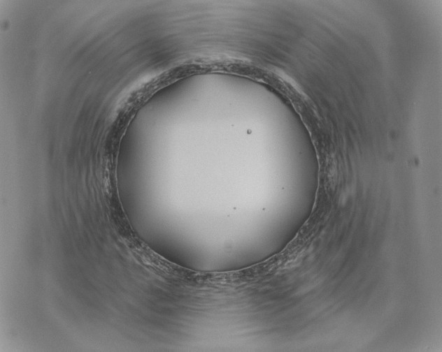 X0000075401016200609291636