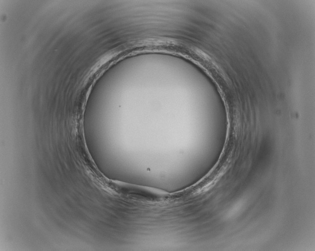 X0000075401017200609291636