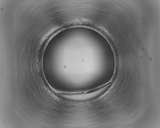 X0000075401018200609291636