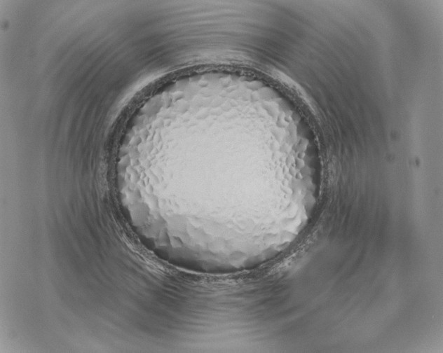 X0000075401019200609291636