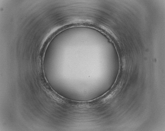 X0000075401021200609291636