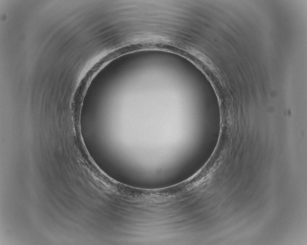 X0000075401022200609291636