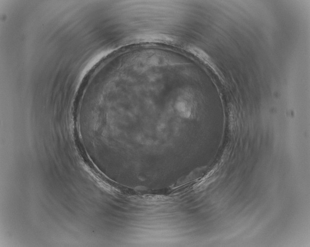 X0000075401024200609291636