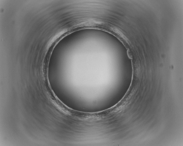 X0000075401026200609291636