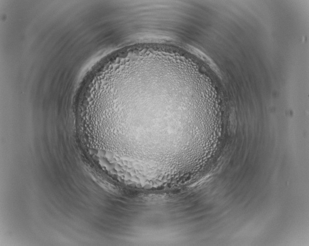 X0000075401027200609291636