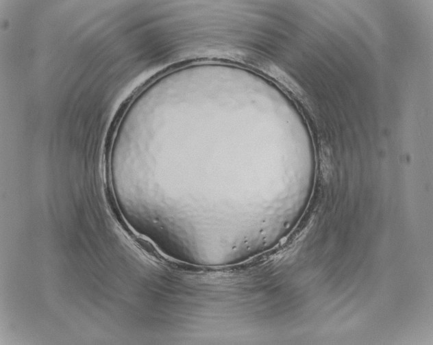 X0000075401028200609291636