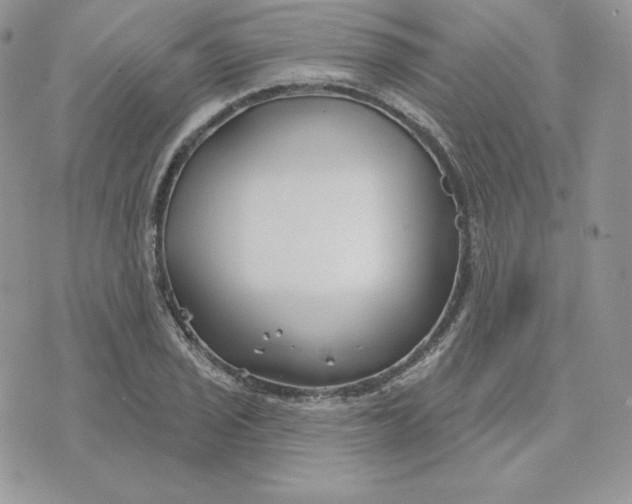 X0000075401029200609291636