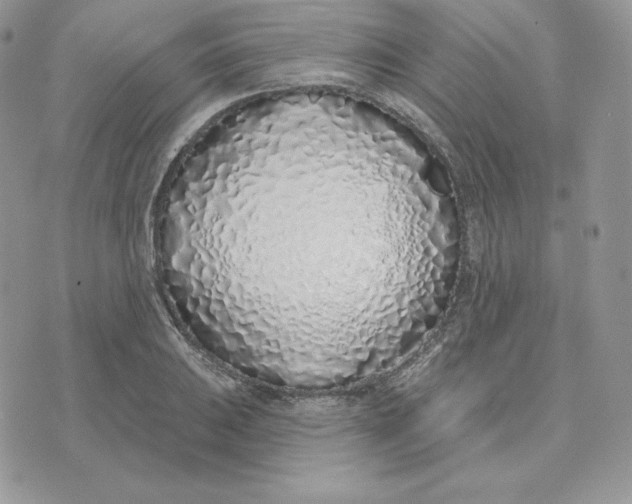 X0000075401031200609291636